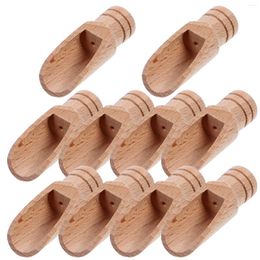 Spoons 10 Pcs Salt Bath Scoop Wood Leaves Measuring Wooden Milk