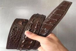 Belts Authentic Genuine Crocodile Skin Male Brown Belt For Smooth Pin Buckle Exotic Real Alligator Leather Men039s Black Waist 1157036