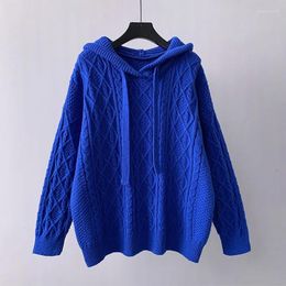 Women's Sweaters Hooded Twisted Knitted Women Sweater Pullovers Autumn Winter Thicken Warm Solid Long-Sleeved Female Pulls Outwear Coats