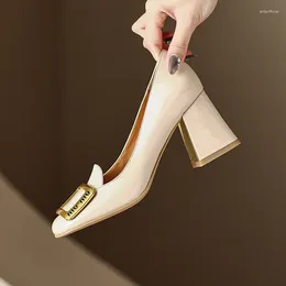Dress Shoes Luxury Heels Autumn Nude Pink Mary Jane Shoe Elegant Women High Heel Temperament Lacquer Leather Chaussure Femme