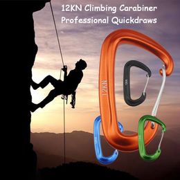 Carabiners Professional Climbing Carabiner D Shape Mountaineering Buckle Hook 12KN Safety Lock Outdoor Climbing Equipment Accessory 231206