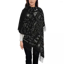 Scarves Science Physics Pattern Scarf For Women Winter Fall Pashmina Shawl Wrap Chemistry Long Daily Wear