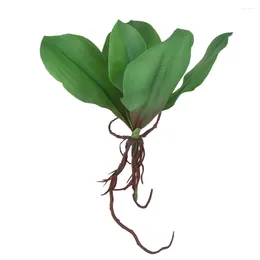 Decorative Flowers Artificial Green Phalaenopsis Orchid Leaf Real Plants Decoration