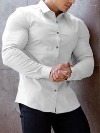 Men's Casual Shirts 2023 Autumn Solid Colour Shirt Plus Size Muscle Workout Long Sleeve