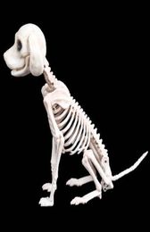 Halloween Skeleton Dog Prop Animal Bones Party Shop Decoration Horror Skull Props Y2010063972498