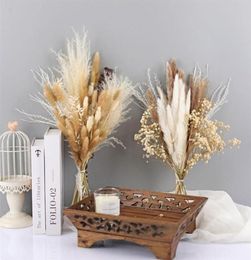 1 Bunch Real Natural Dried Flower Bouquet Pampas Grass Gypsophila Plants DIY Home Wedding Party Decor Festival Ceremony21259239047
