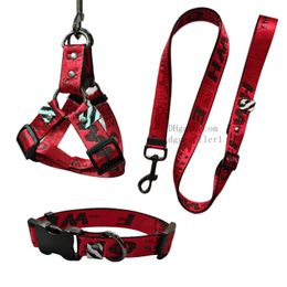 Designer Dog Harness and Leash Set - Escape Proof/Quick Fit Dog Halter Harness, Easy for Training Walking - Sturdy Bone Shaped Buckle - Puppy Harness for Small Dogs Red S B118