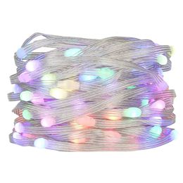 Other Event Party Supplies 1000ct lights WS2812B LED string light;DC5V input;RGB addressable full color;IP65;3D 360 degree light-emitting 231207