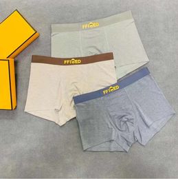 Underpants Mens Underwears Designer Short Underwear Boxer Ice Silk Summer Ultra Thin Section 2024 Popular Loose Shorts Head Slit QAQ6899