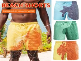 2020 Men Colorchanging Swimsuit Briefs Shorts Magical Change Colour Beach Shorts Discoloration Swimming Pants Quick Dry7374223