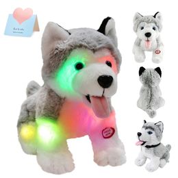 Plush Light Up toys 26cm Stuffed Husky Doll Toys Puppy Dog Soft Grey Pillow with LED Night Lights Animals Birthday for Girls Kids 231207