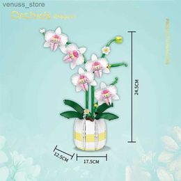 Blocks Moth Orchid Potted Building Blocks Bouquet Home Desktop Decoration Flower Puzzle Toy for Childrens Creative Holiday Gift R231208