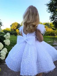 Girl Dresses Flower Dress Princess Ball First Communion Lovely Fluffy Lace Layered Sequins Kids Surprise Birthday Present