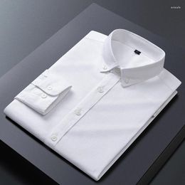 Men's Dress Shirts All Cotton Shirt Business Work High-Dnd Casual Classic Brand Plus Size Top Long Sleeve White