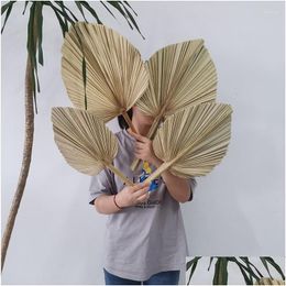 Party Decoration 4Pcs Natural Dried Palm Leaves Tropical Bohemian Spears Window Art Wall Hanging Birthday Drop Delivery Home Garden Fe Otcgp