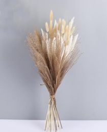 1 Set Dried Flower Natural Pampas Grass Wedding Bouquet Phragmites Reed Plants Christmas Home Decor Living Room Valentine039s D4588518