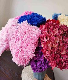 1Bunch40x20cm30Colors Anna Hydrangea Whole Branch Preserved Dried Flower Bouquet Pograph Home Desktop Garden Decoration 2110271564371