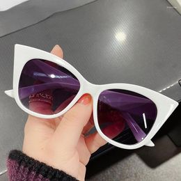 Sunglasses 2023 Retro Cat's Eye For Women Men Simple Fashion Large Frame Gafas De Sol Vintage Glasses