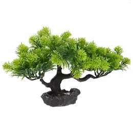 Decorative Flowers Sushi Dish Tree Decoration Lifelike Pine Modelling Figurine Artificial Adornment Decor