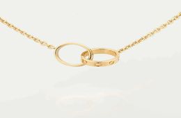 Pendant Necklaces High Edition Classic Design Pendant Love Necklace for Women Girls Double Loop Charms 316L Titanium Steel Wedding6393267