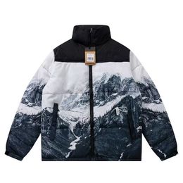 2024 Winter Jacket The Mountain Puffer Jacket High Quality Men Women Fashion Embroidery Padded Jackets Winter Couple Cotton North Coat