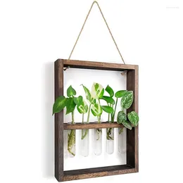 Garden Decorations Wall Mounted Hanging Plants Test Tube Flower Bud Glass Terrarium Wooden Frame For Home Wedding Decoration