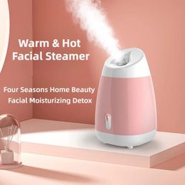 Face Care Devices Steamer Spray Mist Home Sauna SPA Beauty Instrument Hydrating Skin 231208