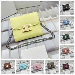 Card Holders Designer Card Wallet Big Purse Small Crossbody Bag Luxury Designer Bag Designer Purses Handbags Mini Flap Bag with Sling Name Brand Purses Shoulder Bag