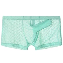 Mens Sexy Mesh Panties Male Fishnet Transparent Bikini Elastic Pouch Underwear Underpant Men S Elephant Boxer Shorts Thin Soft