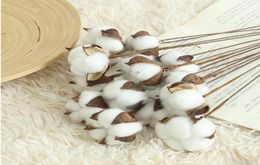 10PCS Artificial White Cotton Branch Artificial Flower Head DIY Natural Dry Cotton Stalk Farm Decoration18984343