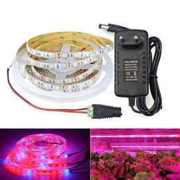 Strips Indoor Plant Light LED Strip Grow Lamp Phytolamp Tape Vegetables Flower Phytolent For Plants Seeds EU US Plug252C