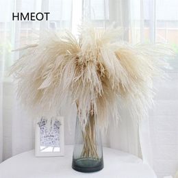 Pampas Grass Home Decor Reed Whisk Dried Flower Daisy Wedding Arrangement Christmas Plants Material Artificial Flowers 25pcs lot 2228g