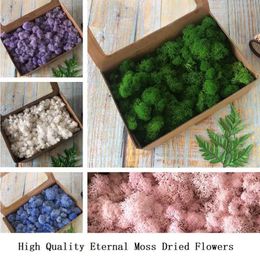 200g High Quality Eternal Moss Artificial Green Plant Dried Flowers DIY Gift Box Handicrafts Accessorie Decor Wall Stickers Decora257m