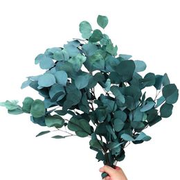 Natural Preserved Eucalyptus Leaves Bouquet Immortal Dried Flower For For Wedding Decor Display Flower Home Decoration292z