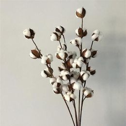 Decorative Flowers & Wreaths Flone Dried Flower Cotton Branch 6 Head Long Simulation Tree Home Wedding Decor Artificial255a