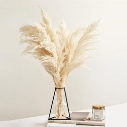 Pampas Grass Decor White Colour Fluffy Natural Dried Flowers Bleached Bouquet Boho Vintage Style for Wedding Home Christmas Decor248v