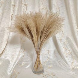 Pampas Grass DecorFluffy Reed Wedding Flower BunchDried Pampas Home e Office Fall 210317171O