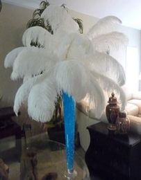 New Ostrich Feathers Plume Centrepiece for Wedding Party Table Decoration natural white Many Sizes for You To Choose2548394