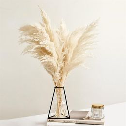 Pampas Grass Decor White Color Fluffy Natural Dried Flowers Bleached Bouquet Boho Vintage Style for Wedding Home Christmas Decor2123