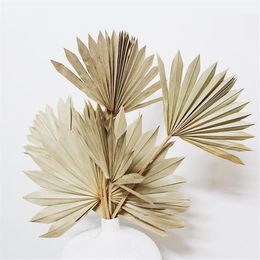 4pcs Dried Fan Leaves Boho Wedding Botanical Natural Leaf Home Decor ing Fans White Palm Spear 210317275b