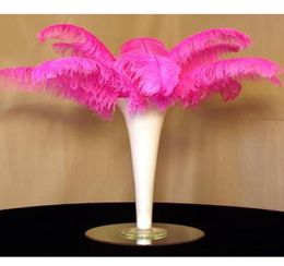 Prefect Natural pink Ostrich Feather 1012 inchWedding Decoration wedding centerpiece party decor event supply6756354