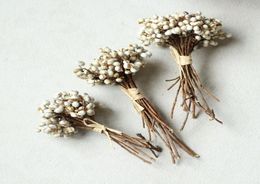 Denisfen Natural Dried Flowers White Snow Beans Branch Bouquet Mini Berries For Home Decoration Decorative Flowers Wreaths2981520