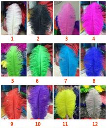 Ostrich Feather Plume Colourful Feathers For Crafts Costume Supplies Table Wedding Birthday Centrepieces 12Colors Choose HH921193198858