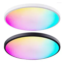 Ceiling Lights Recessed 3000K-6500K Adjustable Disk Light Modern Round Flat 6 RGB Slim Dimmable Lamps For Dining