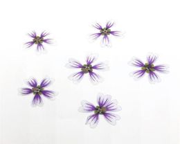 120pcs Pressed Dried Malva Sinensis Cavan Flower For Epoxy Resin Pendant Necklace Jewelry Making Makeup Craft DIY Accessories17922366141