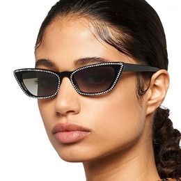 Sunglasses EL Malus Fashion Ins Cat Eye Frame Sun Glasses Women Imitation Diamond Crystal Sexy Ladies UV400 Lenses Eyewear1244l