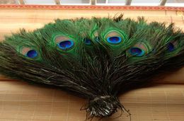 Elegant decorative materials Real Natural Peacock Feather Beautiful Feathers about 25 to 30 cm HJ1701696137