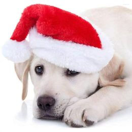 Dog Apparel Cat Santa Hat Festive Pet Hats Adorable Comfortable Anti-fall Christmas Costumes For Cats Dogs Pets