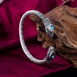 Teamer Snake Bangle Blue Crystal Indian Vintage Bangle Bracelet Men Women Nail Viking Bangles Punk Jewelry Amulet Gift268y