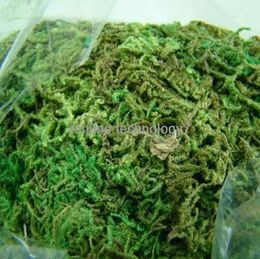 Whole300g BULK Bag of Dried Artificial Reindeer Moss for Flowers Hanging Baskets Lining1497681